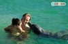 Swimming with dolphins
